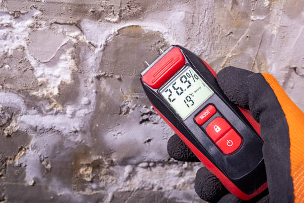 Best Mold Testing  in Piedmont, SC